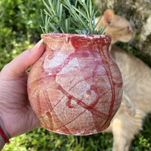 Vaza Raku rosu aprins, Casa & Stil de viata, Accesorii pentru decorat casa, Suport de flori, Vaze, , ARTYNOS