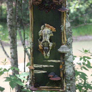 Tablou Natural Licheni Muschi SkullArt - Artynos.ro