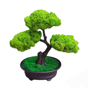 Bonsai cu licheni stabilizati, 25 cm, Casa & Stil de viata, Accesorii pentru decorat casa, Decoratiuni de pereti, decoratiuni suspendate, Decoratiuni cu licheni, Altele, ARTYNOS