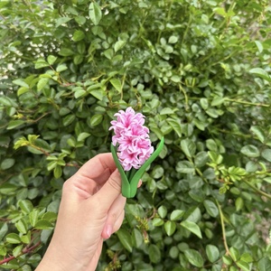 Brosa Zambila , Accessorii si unelte, Brosa, cerc, incuietoare, , ARTYNOS