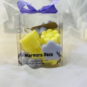 Amber Noir Wax Melts - Artynos.ro