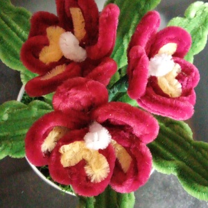 MeryPetals