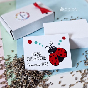 Marturii botez cu magnet pictat manual personalizate cu nume Buburuza - Artynos.ro