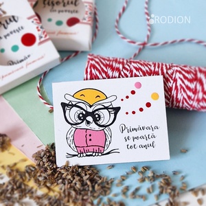 Martisoare cu magnet bufnita pictate manual cu mesaje haioase handmade - Artynos.ro