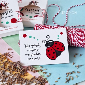 Martisoare cu magnet buburuza pictate manual cu mesaje haioase handmade - Artynos.ro